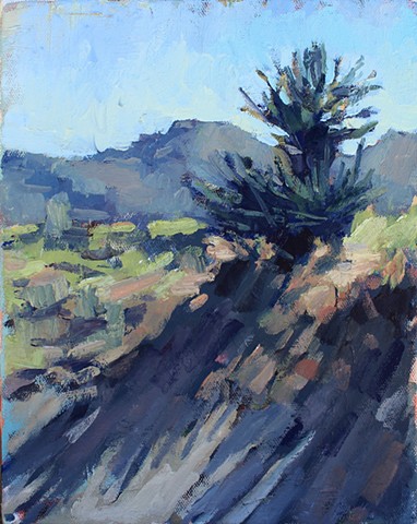 Yucca, 8x10in, oil on canvas, sold