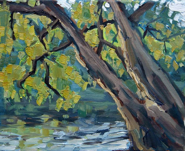 Trees on French Broad 8x10