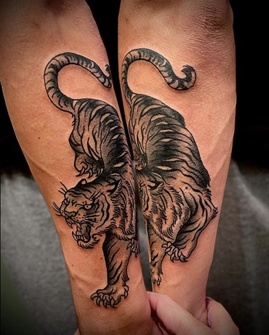 A Western Traditional style, black and grey tiger, crawling down the forearm