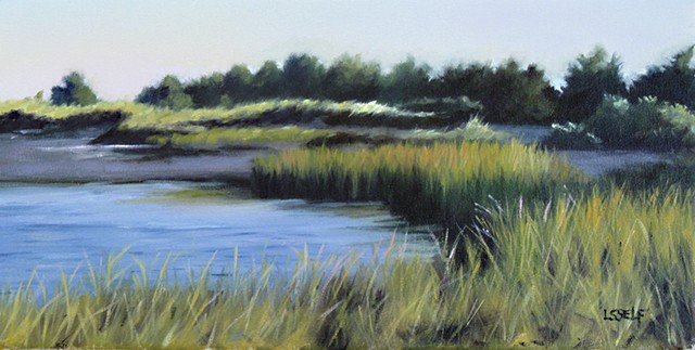marsh shore