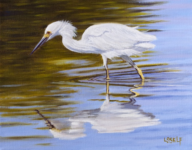 White Egret Hunting in the Marsh