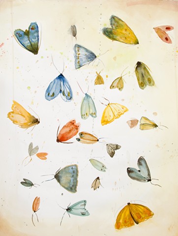 a gatheirng of moths, watercolor, pemcil on paper