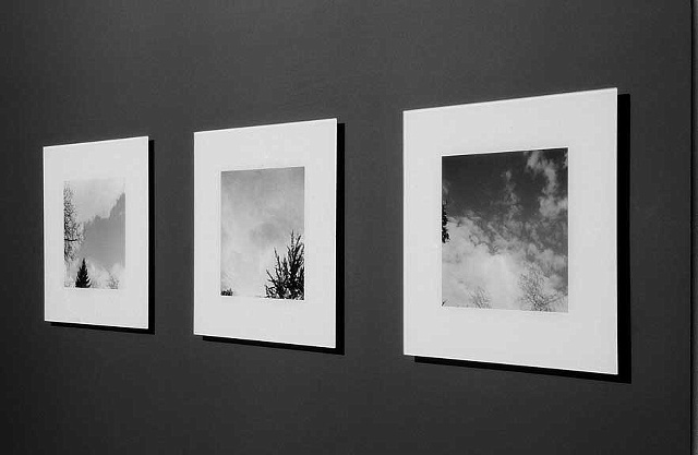Empirical Evidence: A series of 9 black and white c-prints face mounted to acrylic. 
Edition of 5
Shown: Installation view of Empirical Evidence, J Crist Gallery, 2005

