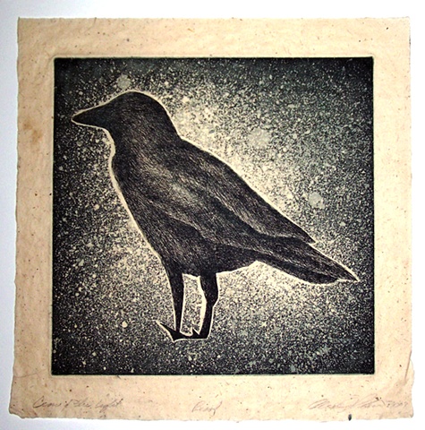 Crow and the Light