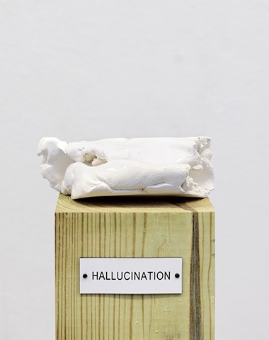Detail: Untitled (Plinth Studies with Ambiguous Nameplate Augmentation) ["Hallucination"]