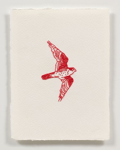Untitled Bird 3 (Falcon)