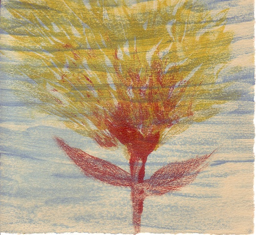 "Fire Flower" monotype print by Aijung Kim