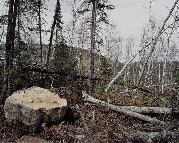 Blowdown Debris, Near Magnetic Rock, Gunflint Trail, Superior National Forest 2001