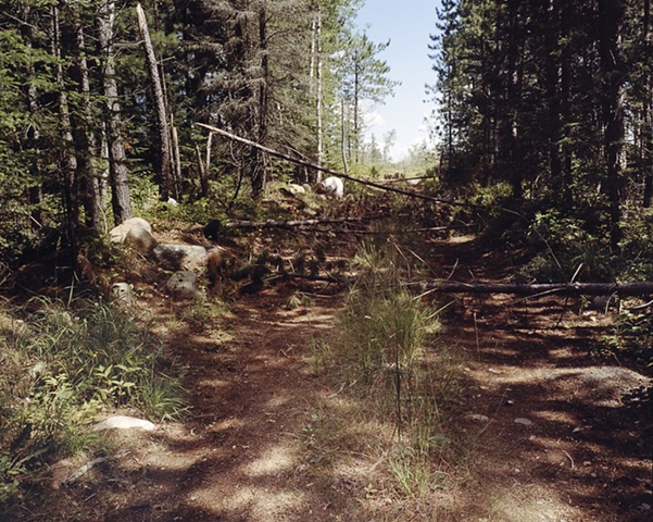 Logging Road off Upland Trail 2001