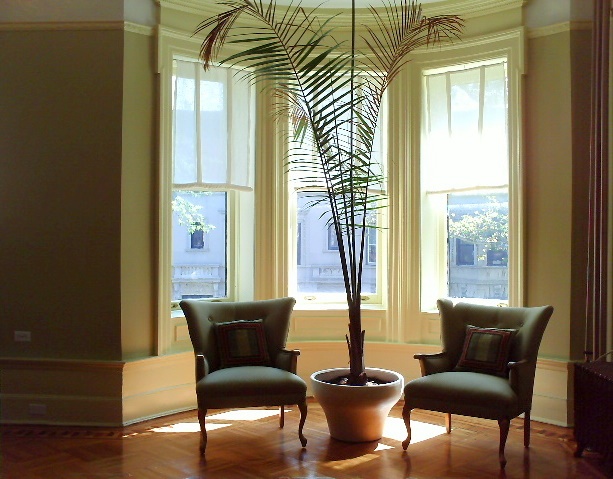Conversation area in bay window with chairs and plants by Jane Interiors NYC