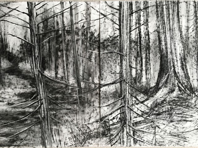 Stop motion charcoal drawing animation for the Blue Forest Opera 