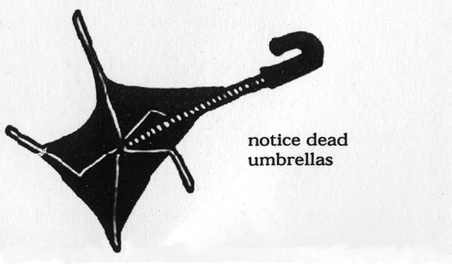 Notice Dead Umbrellas
