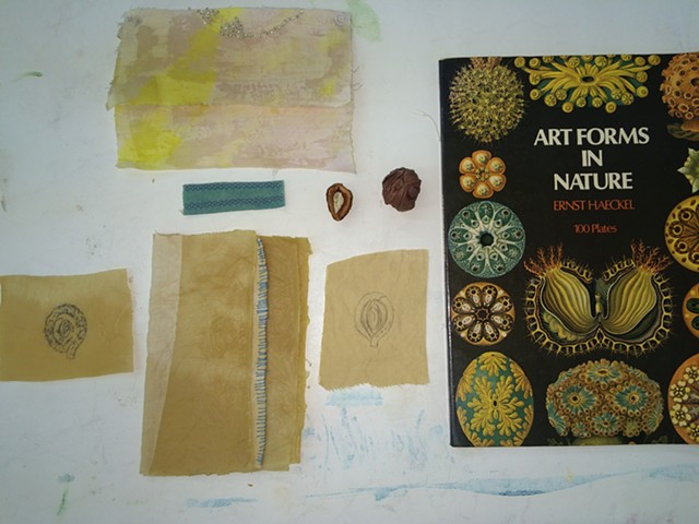 Instructor, One Week Workshop, Natural Dyes, Maps, Charts and Diagrams, Arrowmont, Tennessee