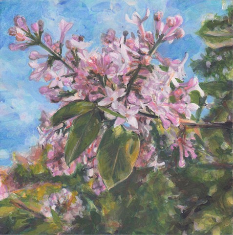 Kristine's Lilacs