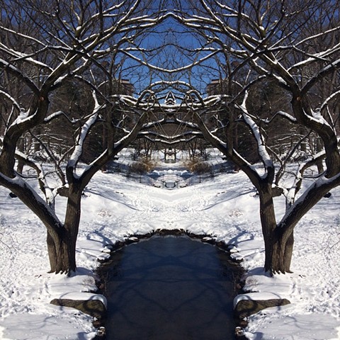 Snowy Central Park NYC