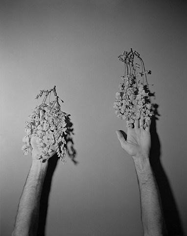 Untitled (Michael and Dried Flowers)