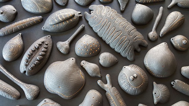 fossil studies comprised of black clay by Mary Meyer