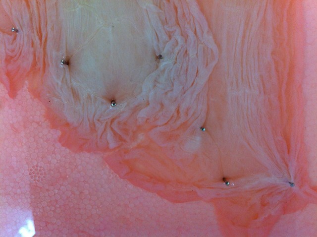 Biotextile IV, in process, detail