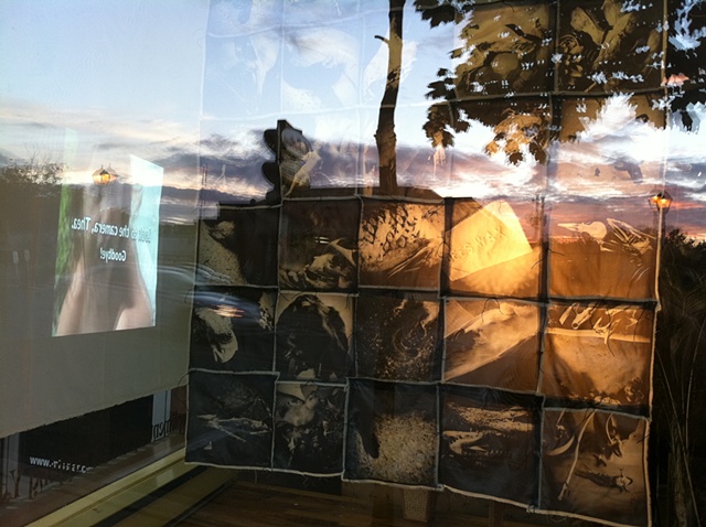 Installation - Ossa (phototextile) & Squirrely (video)