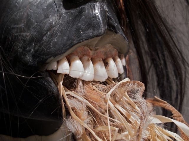 Alma, detail: teeth