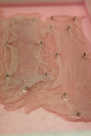 Biotextile IV, in process