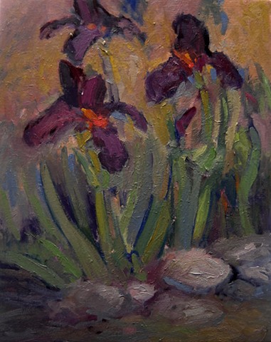 Iris, paintings of Iris, purple iris, 