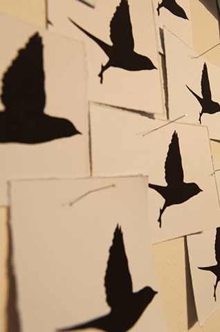 Detail ...damn birds