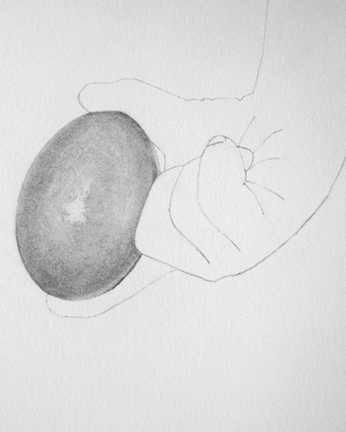 Detail - curt