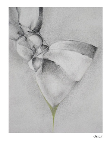 detail - …slipping back into that world and letting it overtake her, flushing out the everything about last year.
