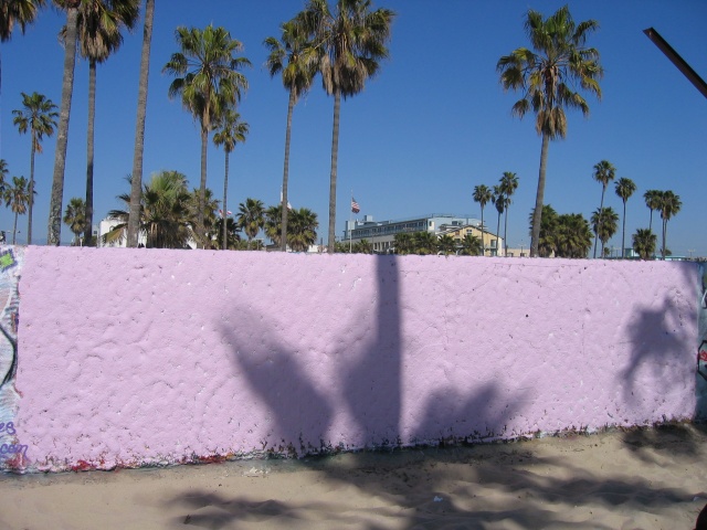 Venice Beach -08-