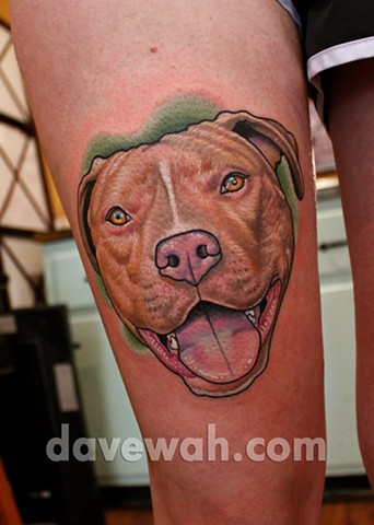 Dog portrait tattoo by dave wah at stay humble tattoo company in baltimore maryland the best tattoo shop in baltimore maryland