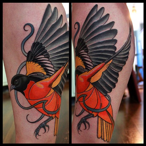 oriole tattoo by dave wah at stay humble tattoo company in baltimore maryland