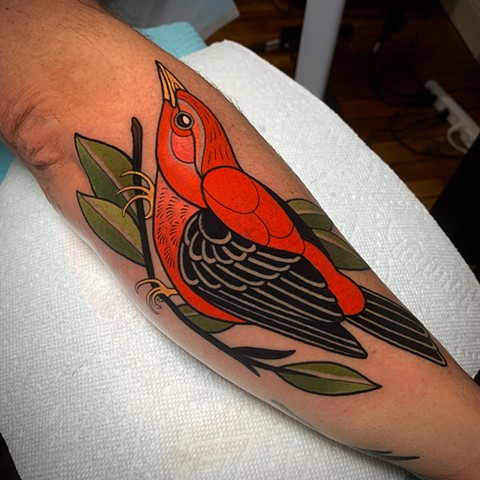scarlet tanager bird tattoo by tattoo artist dave wah at stay humble tattoo company in baltimore maryland the best tattoo shop in baltimore maryland