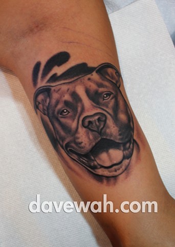 Dog portrait tattoo by dave wah at stay humble tattoo company in baltimore maryland the best tattoo shop in baltimore maryland