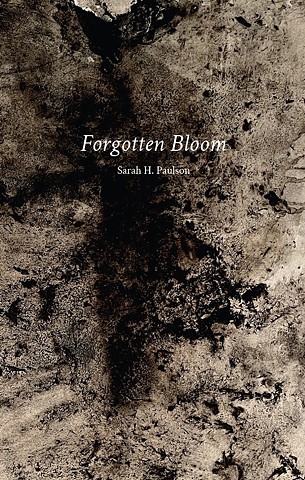 "Forgotten Bloom" is available through The 3 Lights Press