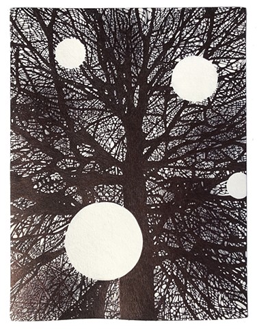 Tree, with Escapes (Portal No. 35)
