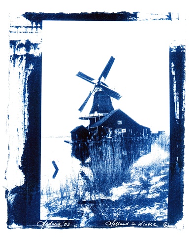 Cyanotype Prints