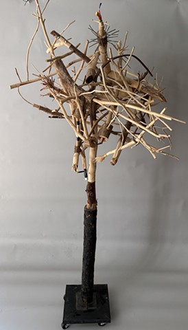 thicket