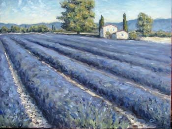 "Lavender Farm"