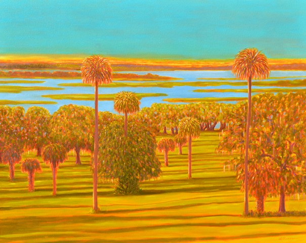 Orange lake Overture by Florida Artist Gary Borse Orange Lake Overlook McIntosh FL is available at Plum Contemporary Art Gallery St Augustine FL