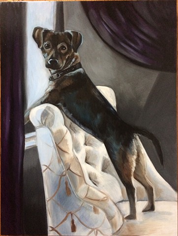 oil portrait of dog, painting of dog, artist commissioned dog portrait
