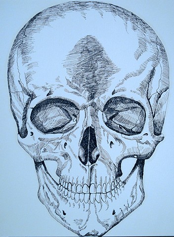 Skull - Front View