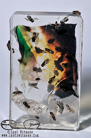 photo emulsion suspended in resin with real flies