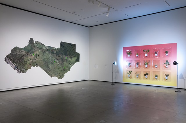  I Inhale/You Exhale, 2020. Vacuum formed potted plants , 304.8 h x 431.8 x 12.7 cm . Installation view of borderLINE : 2020 Biennial of Contemporary Art, Art Gallery of Alberta, Edmonton, 2020. Photo: Art Gallery of Alberta.