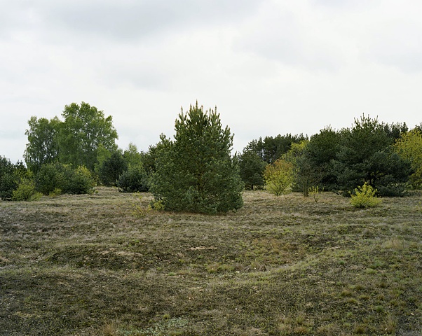 East from "Station-Z" at Sachsenhausen (2010)