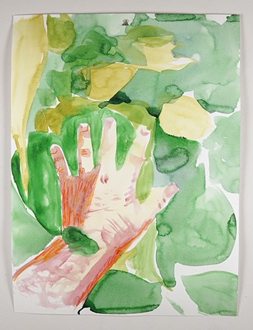 hand in the catalpa