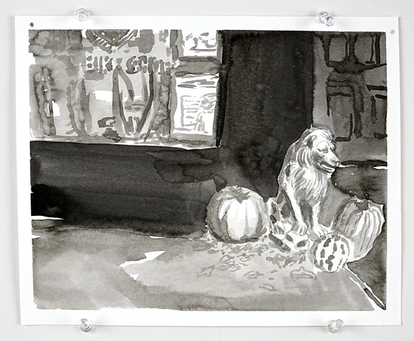 Lion and pumpkins