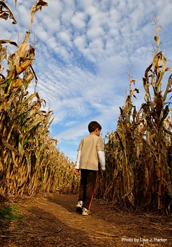 Corn Maze - Chesterfield, VA