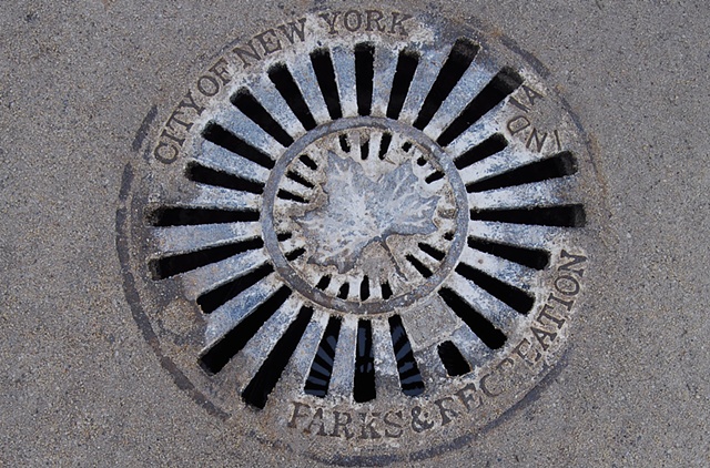 Water Grate With Reflection - Lower Manhattan, NYC