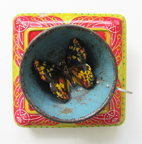 Butterfly in my teacup